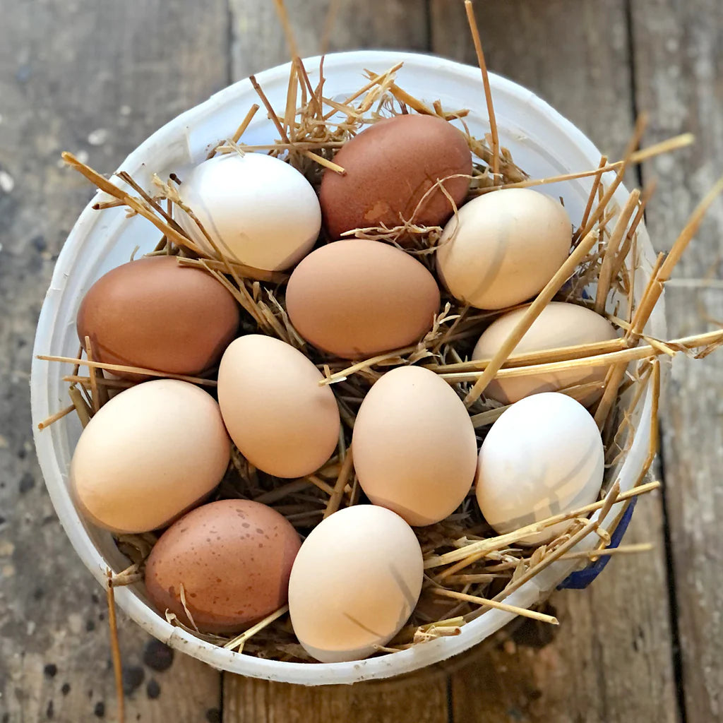 ORGANIC EGGS 1 DOZEN