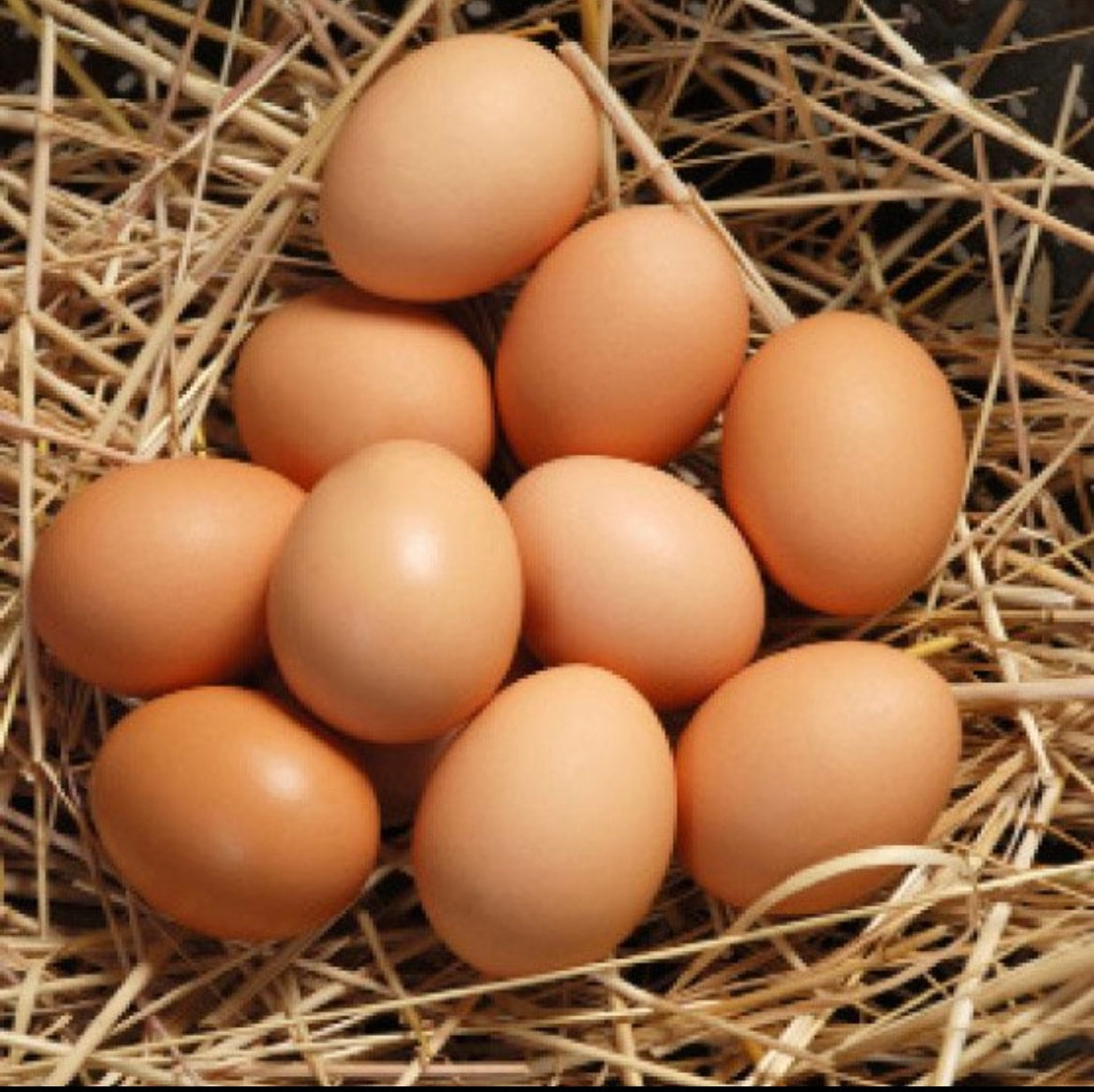 ORGANIC EGGS 1 DOZEN