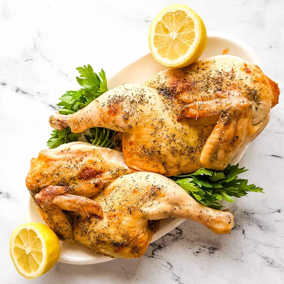 PRE COOKED ROASTED HALF CHICKEN BONE IN 2.5LB PACK